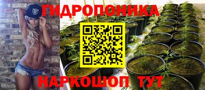 спайс Коммунар