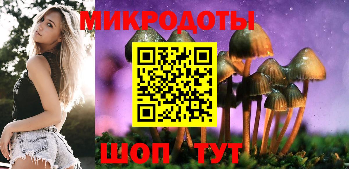 Галлюциногенные грибы мицелий Кингисепп