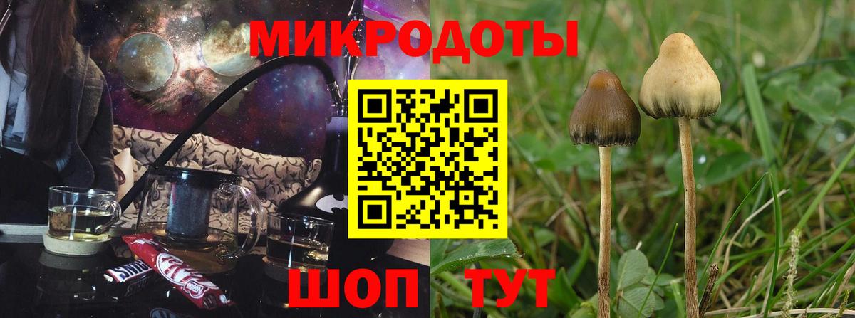 Кингисепп  купить наркотик  Вход с VPN  Галлюциногенные грибы Psilocybine cubensis  Псилоцибиновые грибы MAGIC MUSHROOMS 